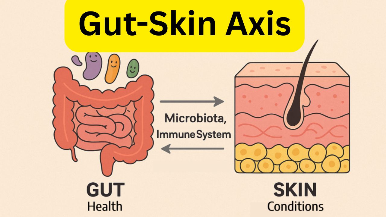 The Liver-Skin Axis How Gut and Hepatic Health Reflect on Your Skin